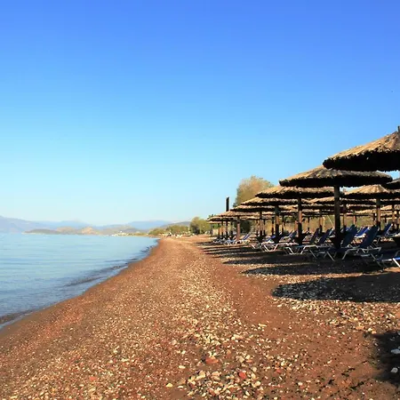 Luxe Livadia, 10 Personen *