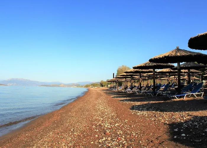 Luxe Livadia, 10 Personen *